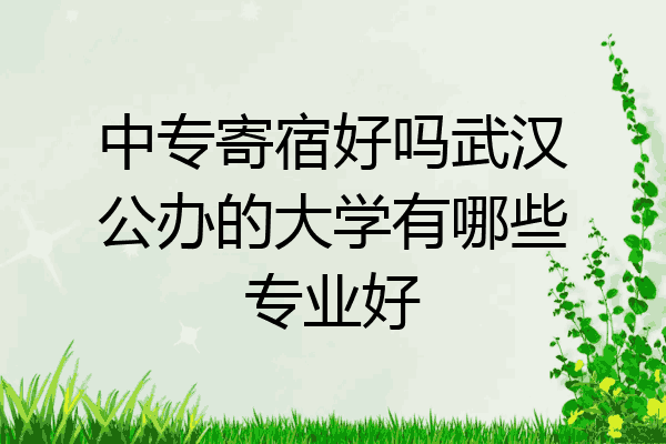 中专寄宿好吗武汉公办的大学有哪些专业好