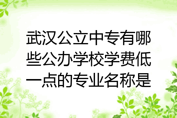 武汉公立中专有哪些公办学校学费低一点的专业名称是