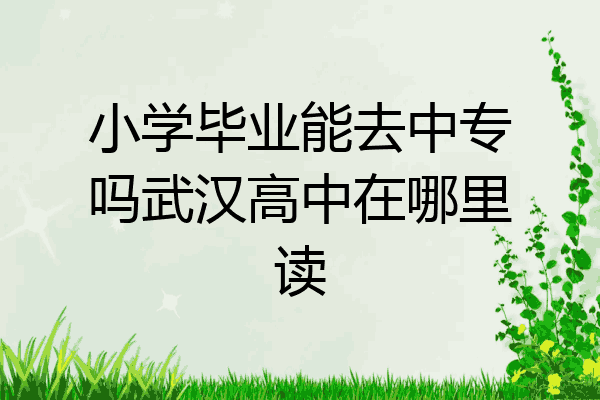 小学毕业能去中专吗武汉高中在哪里读