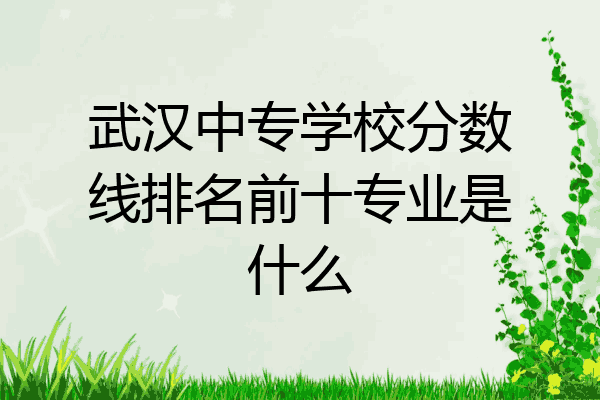 武汉中专学校分数线排名前十专业是什么