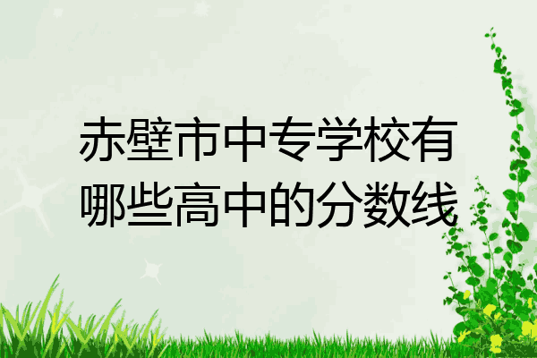赤壁市中专学校有哪些高中的分数线