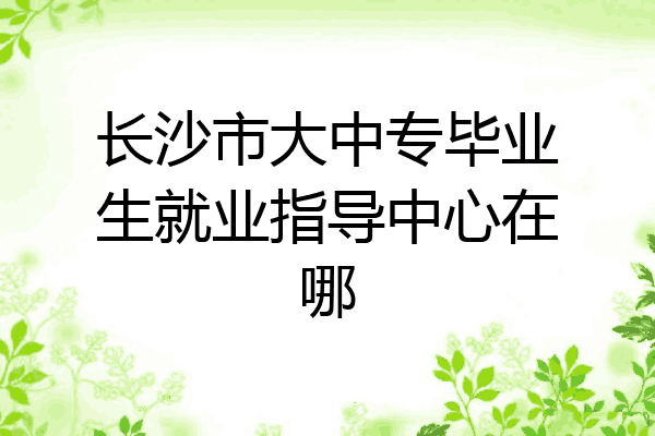 长沙市大中专毕业生就业指导中心在哪