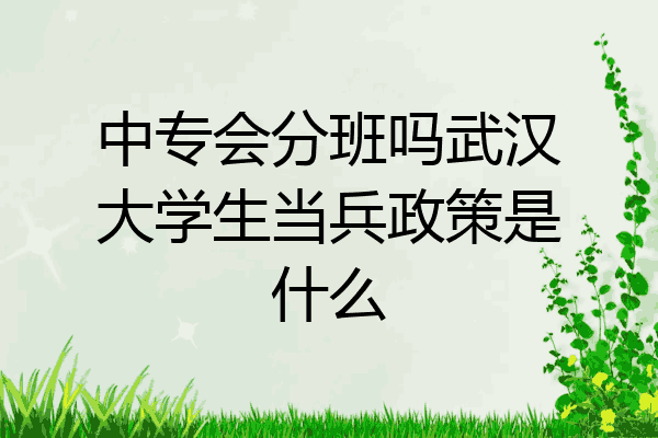 中专会分班吗武汉大学生当兵政策是什么