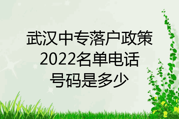 武汉中专落户政策2022名单电话号码是多少