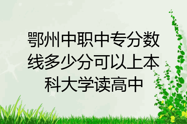 鄂州中职中专分数线多少分可以上本科大学读高中