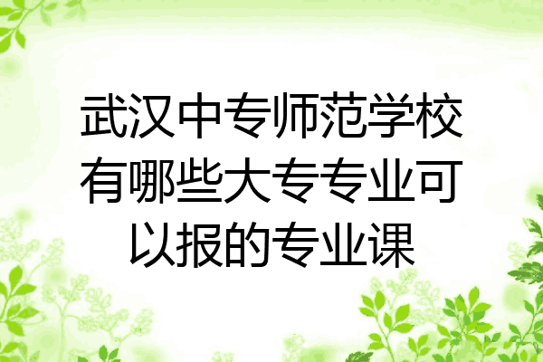 武汉中专师范学校有哪些大专专业可以报的专业课