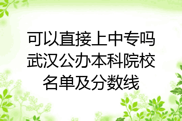 可以直接上中专吗武汉公办本科院校名单及分数线