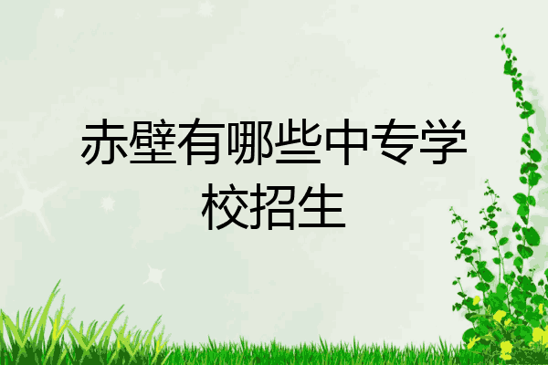 赤壁有哪些中专学校招生