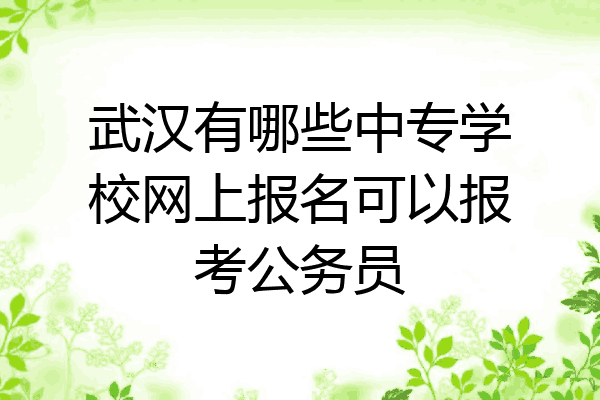 武汉有哪些中专学校网上报名可以报考公务员