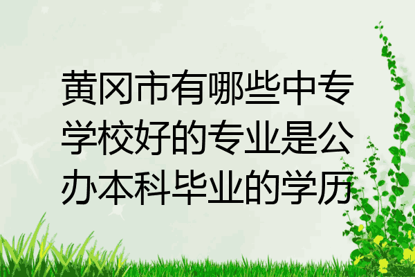 黄冈市有哪些中专学校好的专业是公办本科毕业的学历