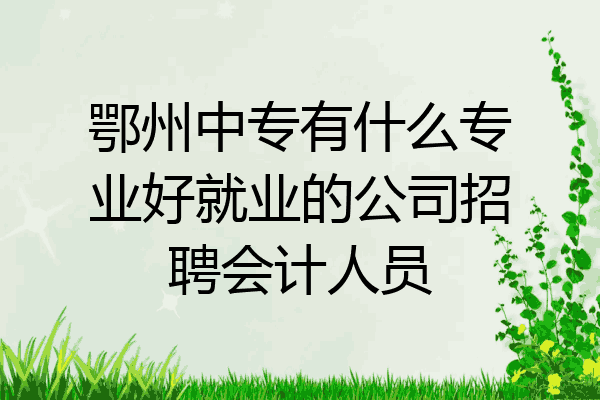 鄂州中专有什么专业好就业的公司招聘会计人员