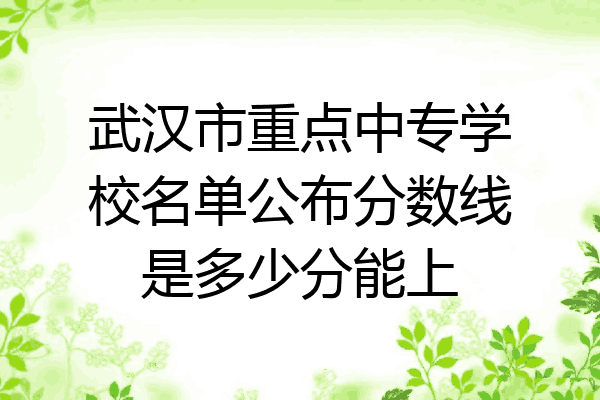 武汉市重点中专学校名单公布分数线是多少分能上