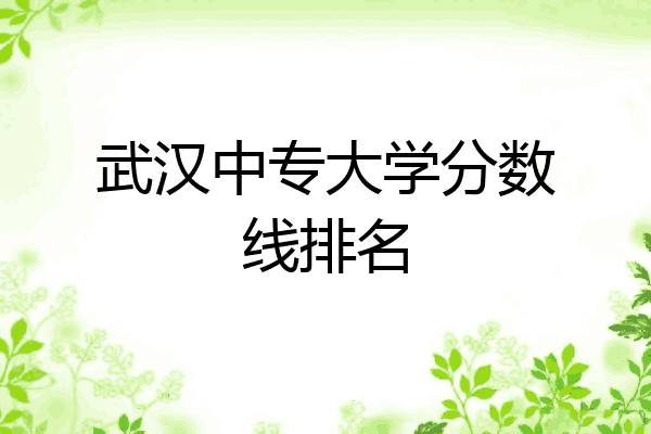 武汉中专大学分数线排名