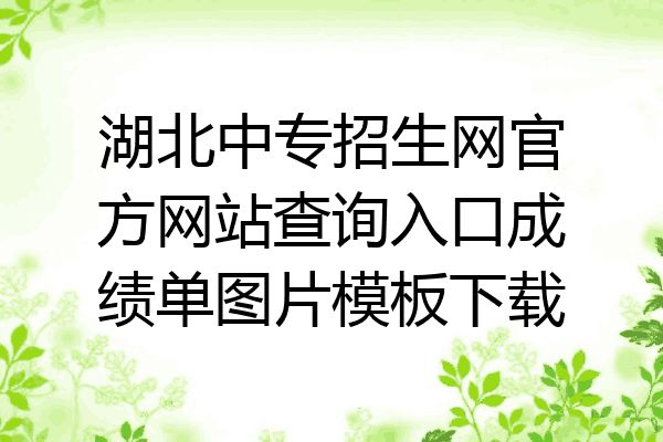湖北中专招生网官方网站查询入口成绩单图片模板下载