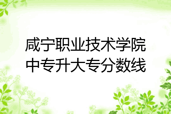 咸宁职业技术学院中专升大专分数线