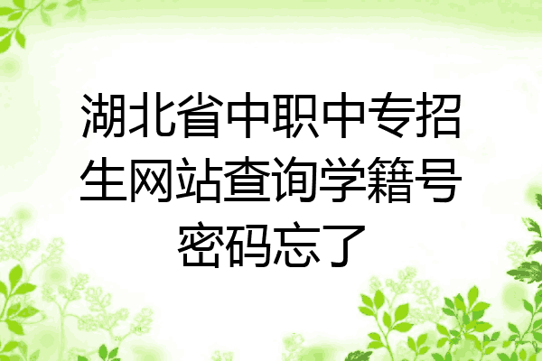 湖北省中职中专招生网站查询学籍号密码忘了