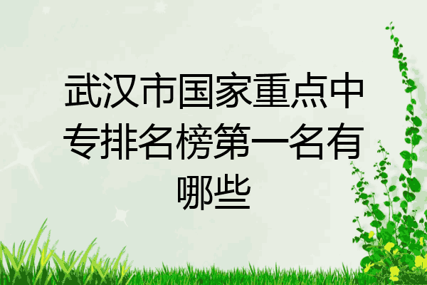 武汉市国家重点中专排名榜第一名有哪些