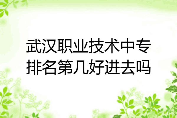 武汉职业技术中专排名第几好进去吗