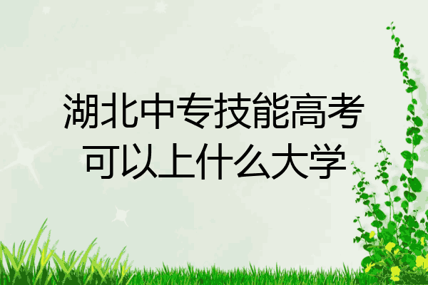 湖北中专技能高考可以上什么大学