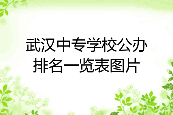 武汉中专学校公办排名一览表图片
