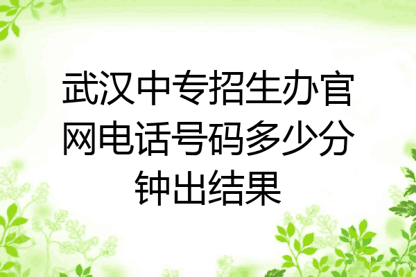 武汉中专招生办官网电话号码多少分钟出结果