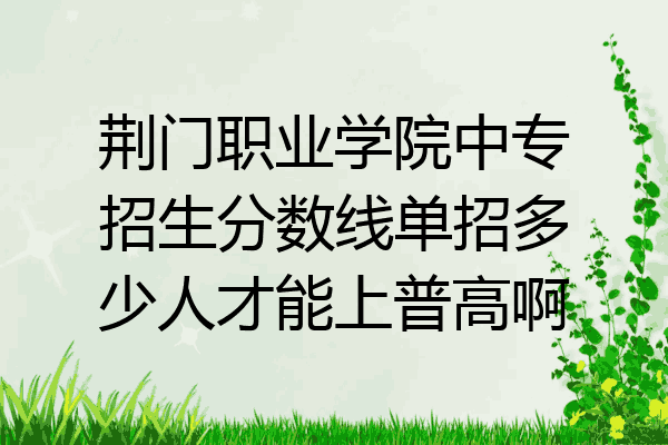 荆门职业学院中专招生分数线单招多少人才能上普高啊