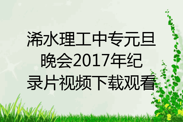 浠水理工中专元旦晚会2017年纪录片视频下载观看