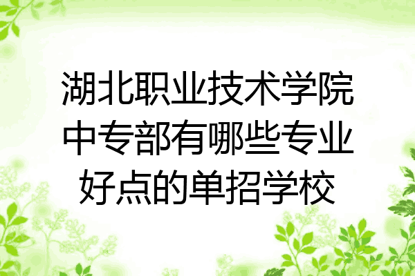 湖北职业技术学院中专部有哪些专业好点的单招学校