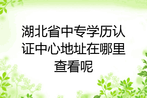 湖北省中专学历认证中心地址在哪里查看呢