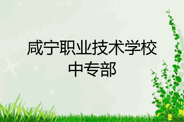 咸宁职业技术学校中专部