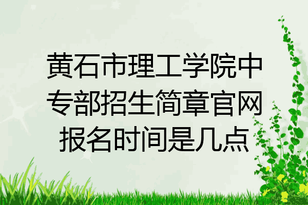 黄石市理工学院中专部招生简章官网报名时间是几点