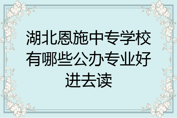 湖北恩施中专学校有哪些公办专业好进去读