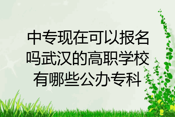 中专现在可以报名吗武汉的高职学校有哪些公办专科