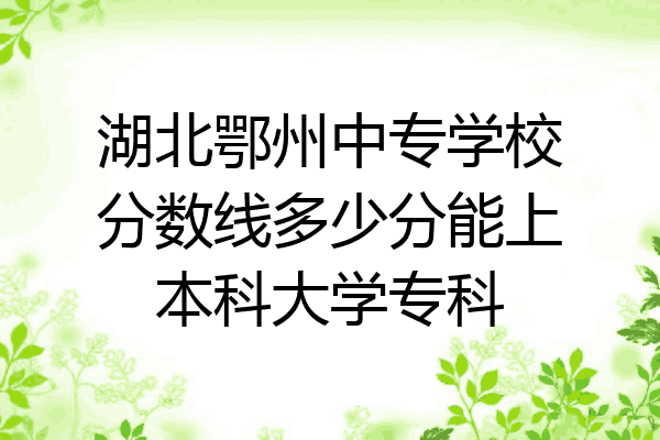 湖北鄂州中专学校分数线多少分能上本科大学专科