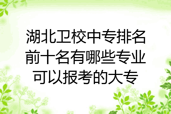 湖北卫校中专排名前十名有哪些专业可以报考的大专