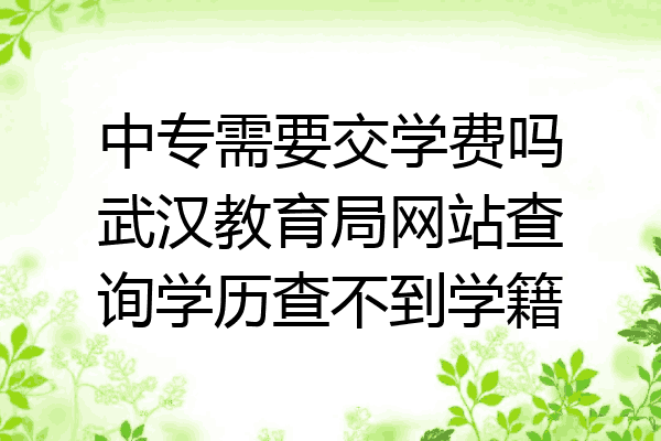 中专需要交学费吗武汉教育局网站查询学历查不到学籍