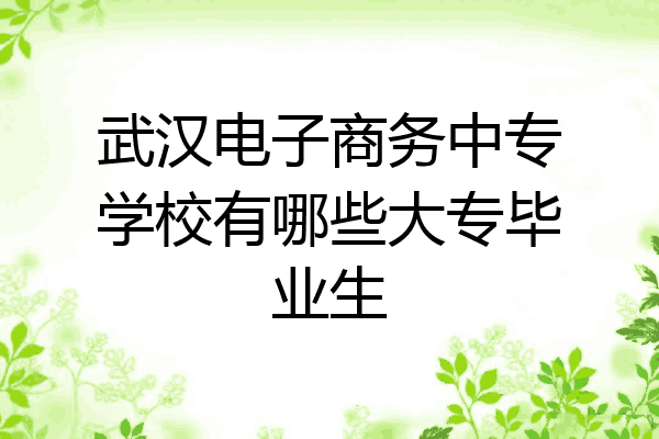 武汉电子商务中专学校有哪些大专毕业生