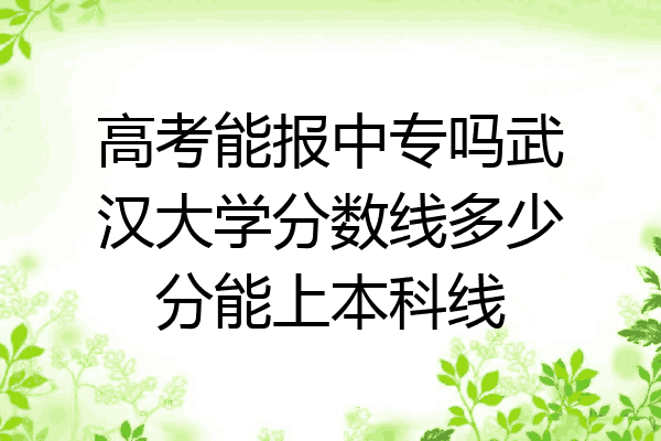 高考能报中专吗武汉大学分数线多少分能上本科线