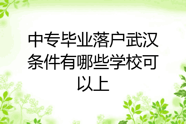 中专毕业落户武汉条件有哪些学校可以上