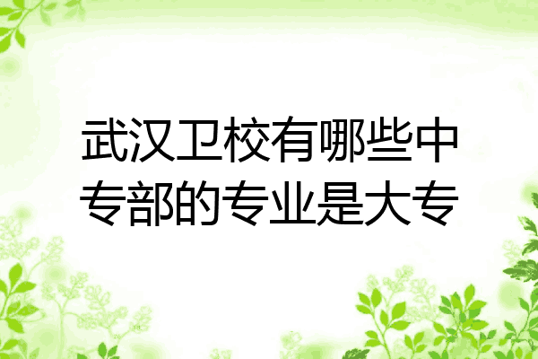 武汉卫校有哪些中专部的专业是大专