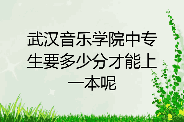 武汉音乐学院中专生要多少分才能上一本呢
