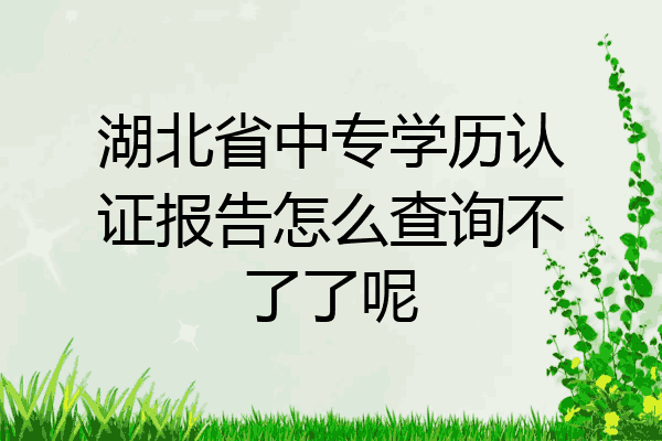 湖北省中专学历认证报告怎么查询不了了呢