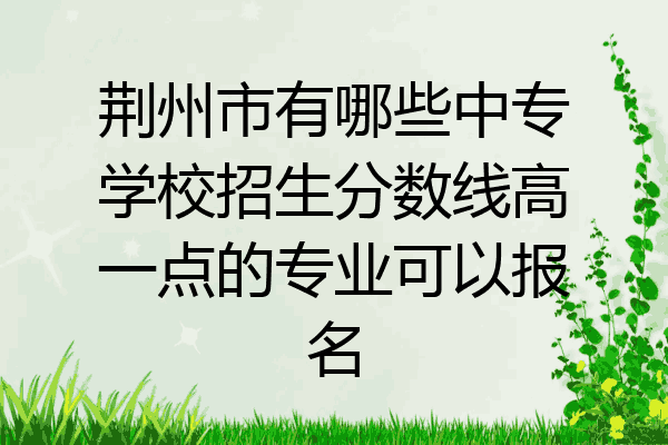 荆州市有哪些中专学校招生分数线高一点的专业可以报名