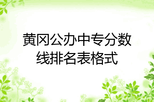 黄冈公办中专分数线排名表格式