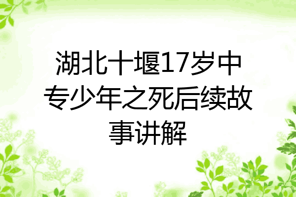 湖北十堰17岁中专少年之死后续故事讲解