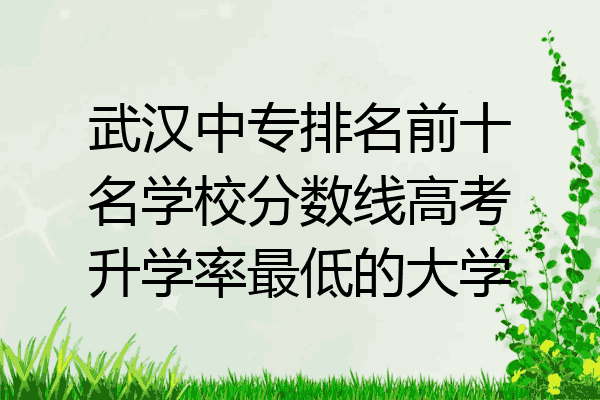 武汉中专排名前十名学校分数线高考升学率最低的大学
