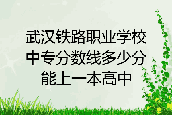 武汉铁路职业学校中专分数线多少分能上一本高中