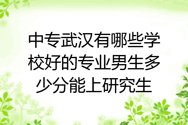 中专武汉有哪些学校好的专业男生多少分能上研究生