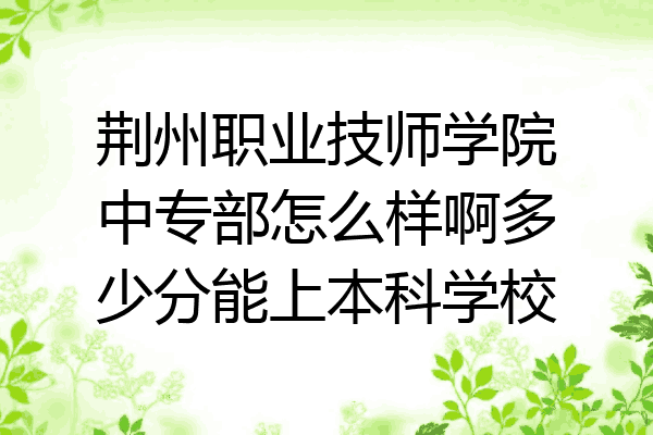 荆州职业技师学院中专部怎么样啊多少分能上本科学校
