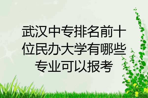 武汉中专排名前十位民办大学有哪些专业可以报考